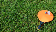 An Orange And Black Paddle With A Birdie On Top Of It With Green Grass As The Background