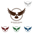 Eagle Logo, vector Wild eagle Bird Falcon Hawk Concept