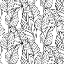 Tropical Seamless Pattern With Nature Leaf Hand Drawn Black Art Line Sketch On White Background. Vintage Texture Abstract Wallpaper Wild Jungle Graphic Design For Market Packing, Print Vintage Textile