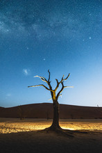 Dead Acacia Trees At Night, Deadvlei, Namib-Naukluft National Park, Namibia
