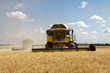 © sergbob - Combine harvests wheat on a field in sunny summer day