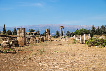 Wall Mural - Remains of street in Umayyad city ruins in Anjar, Bekaa valley, Lebanon