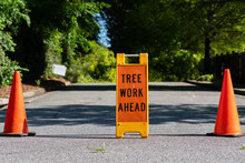 Tree Work Ahead Sign With Two Traffic Cones