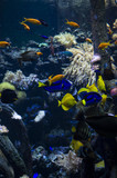 Coral Reef in deep dark water