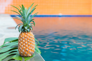 Fresh yellow pineapple tropic fruit summer refreshment near swimming pool