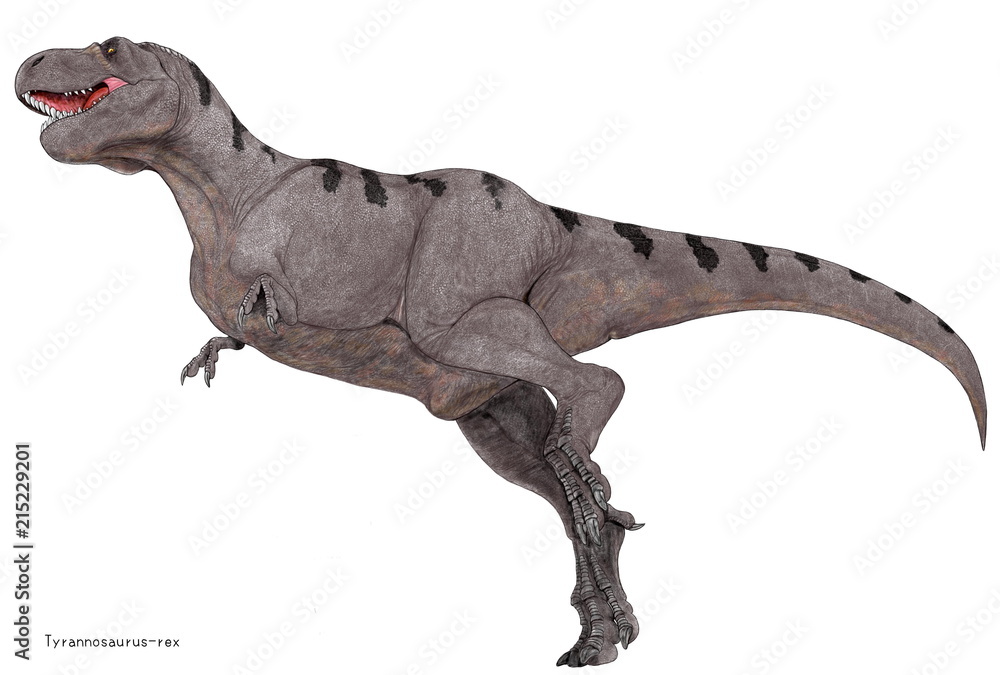 ティラノサウルス イラスト 正面 の最高のコレクション 動物の島