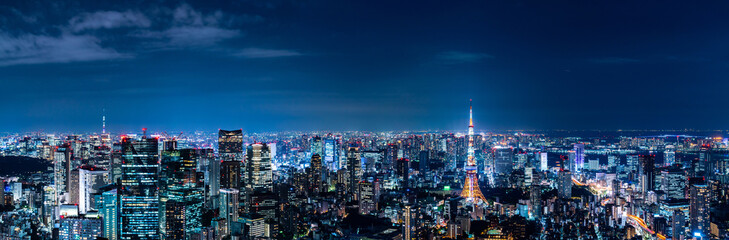 Canvas Print - 東京の夜景