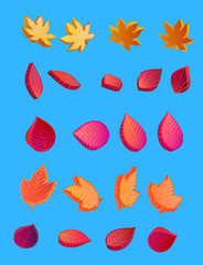 Wall Mural - Isolated isometric autumn 3d leaves on blue background.