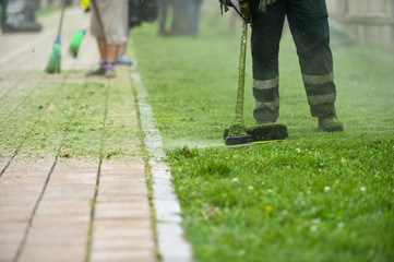 Wall Mural - Law mower man trimming grass in the city