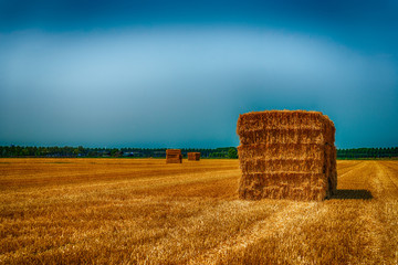 Sticker - Rectangular bales of straw stacked on a stubble field in dramatic colors