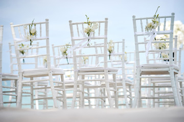 Wall Mural - Back side, Low angle of white chiavari chairs setting for beach wedding on the white sand, Chairs decorate with white flower, petals tied-up by white ribbon