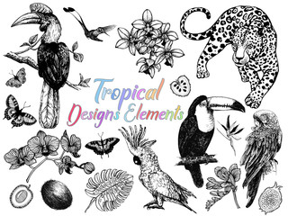 Set of hand drawn sketch style exotic birds, animals, butterflies, plants and fruits isolated on white background. Vector illustration.