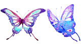 Fototapeta Motyle - blue butterflies design, isolated on a white background