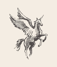 Beautiful Unicorn Wind Vector Illustration Sketch