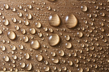 Water Droplets On Wood
