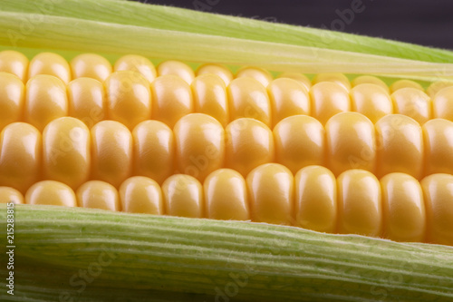 corn in the cob close-up of large grains of ripe
