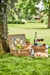 Romantic picnic for two outdoors in a spring park