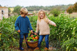 © Bonninstudio/Stocksy - Kids on orchard holding a basket of fresh vegetables.