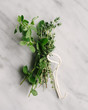 © CWP, LLC/Stocksy - Bunch of herbs