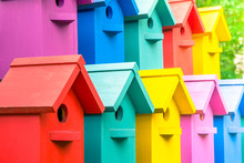 A Lot Of Colorful Birdhouses. Houses For Birds.