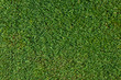 © knelson20 - Top view of short golf putting green grass as a background