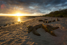 Sunset At San Cristóbal, Galapagos Islands