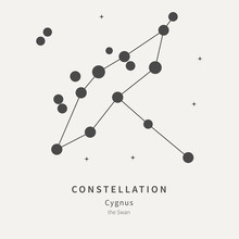 The Constellation Of Cygnus. The Swan - Linear Icon. Vector Illustration Of The Concept Of Astronomy.
