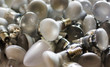 © Yulu - Disposal of used energy saving lamps, old spent bulbs.