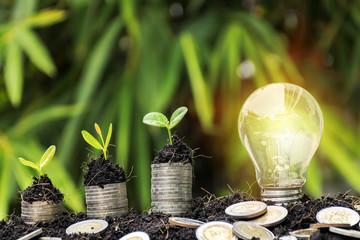 Wall Mural - Energy saving light bulb and tree growing on stacks of coins on nature background.