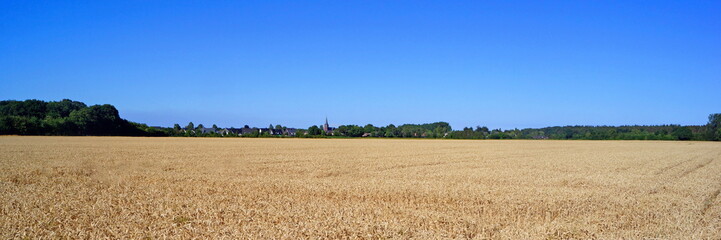 Poster - Naturlandschaft um Kevelaer-Winnekendonk