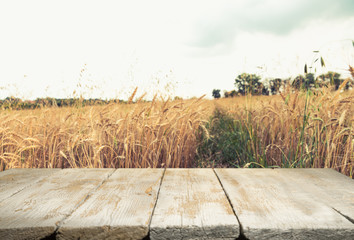 Wall Mural - Wheat field with wood planks. Empty tabletop. Table with wheat.Beautiful Nature Sunset Landscape. Rural Scenery with golden wheat. Agriculture background with Harvest