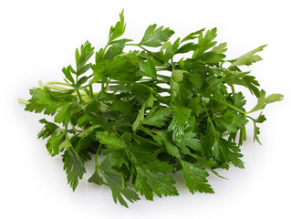 Wall Mural - Fresh parsley on white background