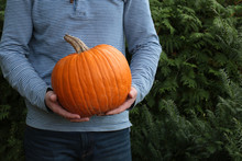 Autumn. Harvest  Pumpkin. A Large Orange Pumpkin In The Hands Of A Man On A Green  Plant Background.Autumn Season.Autumn Mood.Autumn Time	