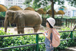 © makistock - Children feed Asian elephants in tropical safari park during summer vacation. Kids watch animals