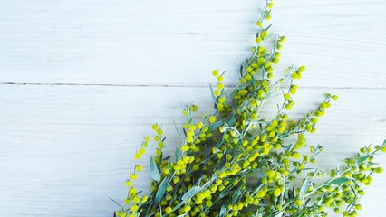 Beautiful blooming wormwood on wooden background.