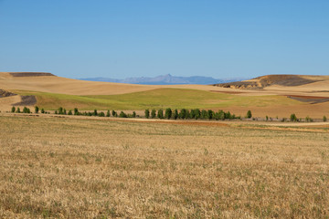 Wall Mural -  Paisaje de campos con parcelas de Cultivo de Cereal y montañas al fondo