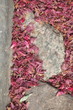 Kopfsteinpflaster, Pflasterstein mit roten Blüten