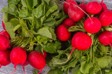 Wall Mural - Fresh wet washed radishes close up. Grey wooden background.