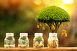 © Watchara - Coin in the bottle and tree with growing and savings money bag put on the wood in the morning sunlight, Business investment concept.