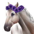 animals pretty flowers cute horse sweety dogs puppy 