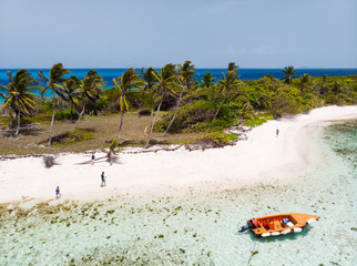 Wall Mural - Top view of Tobago cays