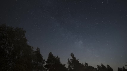 Wall Mural - timelapse of beautiful night starry sky and milky way galaxy moving above dark silhouettes of trees,