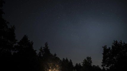 Wall Mural - timelapse of beautiful night starry sky moving above dark silhouettes of trees, background in 4k uhd