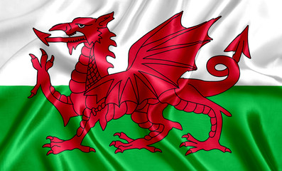 Welsh flag silk