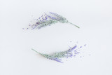 Lavender flowers on pastel gray background. Flat lay, top view, square