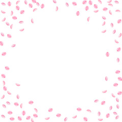 Sakura petals falling down. Romantic pink silky small flowers. Sparse flying cherry petals. Circle f