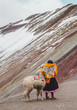 Young indigenous Peruvian girl stands in traditional Quechua dress with her pet llama in front of a snow-capped Rainbow Mountain (or Montaña de Siete Colores) in Peru, near Cusco