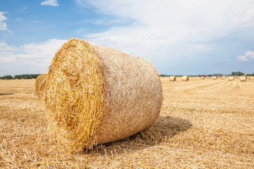 An hay bale