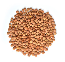 Wall Mural - Lentils  on white background