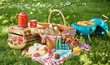 Colourful summer BBQ picnic outdoors in a meadow